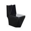 Vaso Sanitário Monobloco Kit Privada com Assento Completo Preto (GVs55MbSfA-Pt)